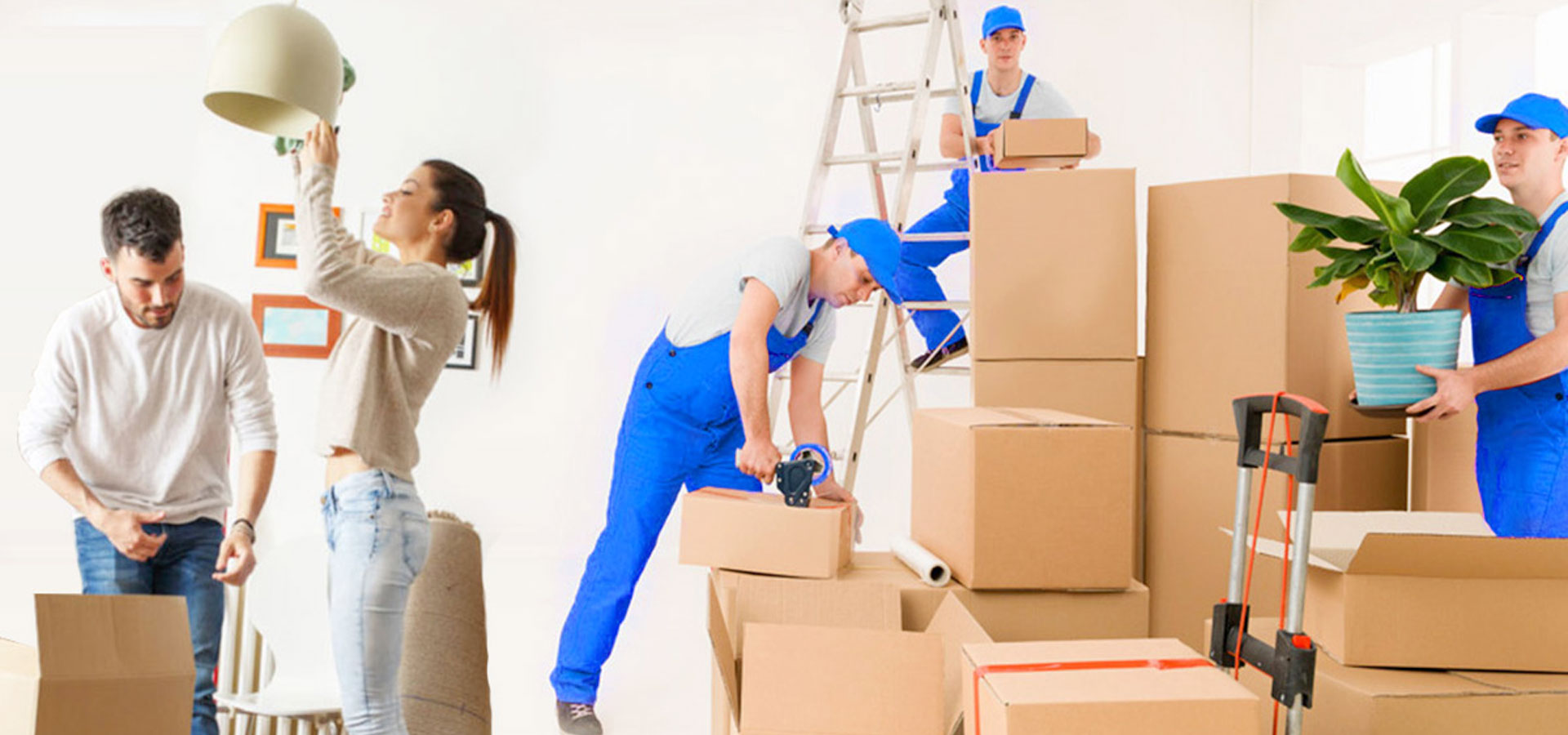 packers and mover in bhilai